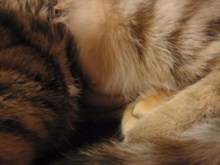 (untitled)