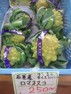 (untitled)
