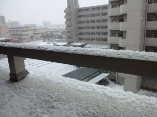 (untitled)