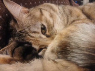 (untitled)