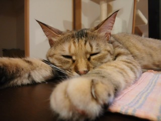 (untitled)