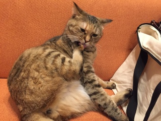 ������ꒆ