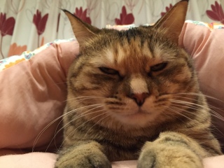 �ނɁ`��
